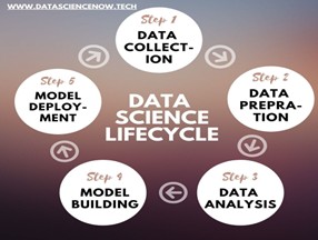 Data Science Lifecycle